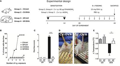 Germ-Free Mice Exhibit Mast Cells With Impaired Functionality and Gut Homing and Do Not Develop Food Allergy